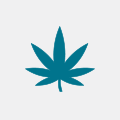 Cannabis/ Hash